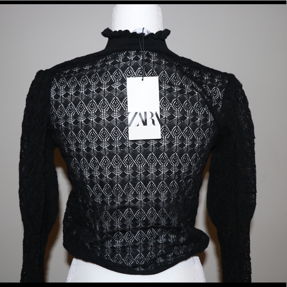 Mesh cropped turtle neck sweater